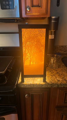 Vintage Porcelain Lithophane Lamp - Image 1 of 5