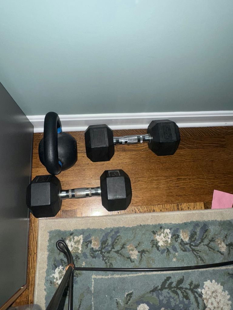 25lb dumbells and kettlebell - image 1 of 1