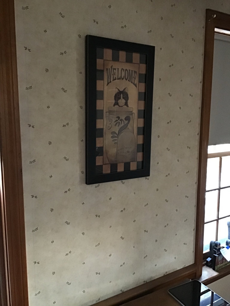 Framed cat-themed 'WELCOME' print - image 1 of 3