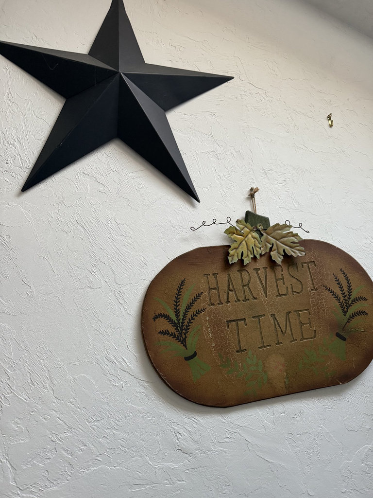 Rooster decor set with star wall art and decorative boxes - image 1 of 10