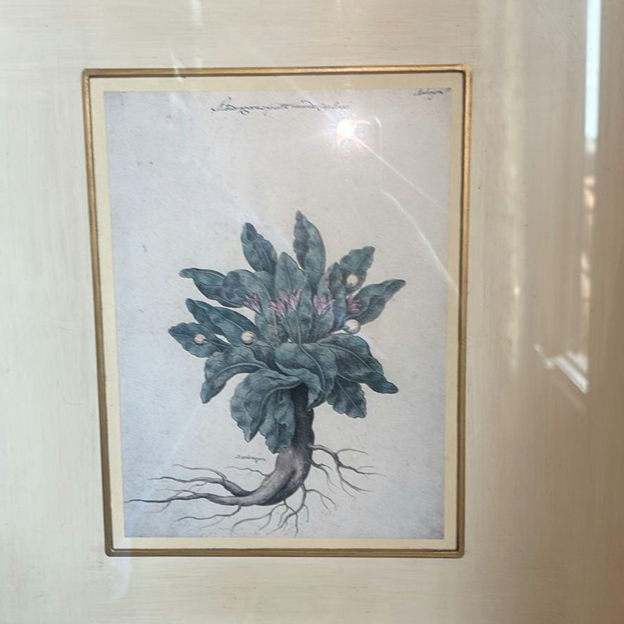 Round Wall Mirror and Two Framed Botanical Prints - image 5 of 7