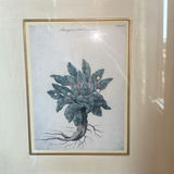 Round Wall Mirror and Two Framed Botanical Prints - thumbnail 5 of 7