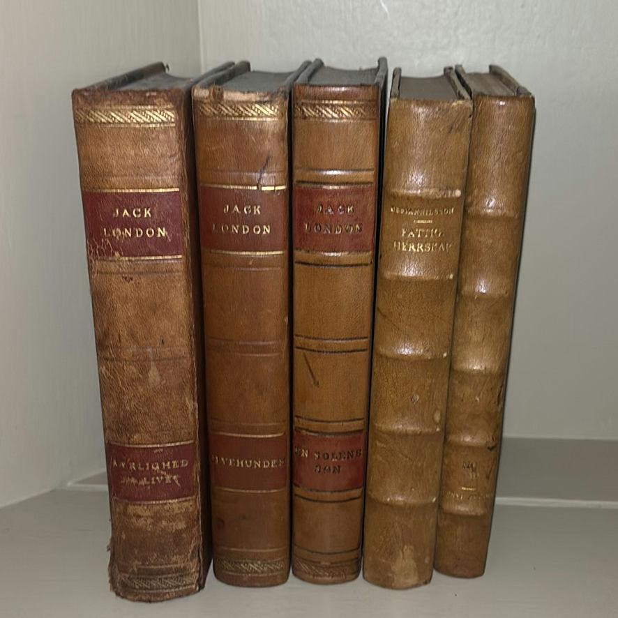 Decorative Leather-Bound Books and Framed Wall Mirror - image 2 of 6