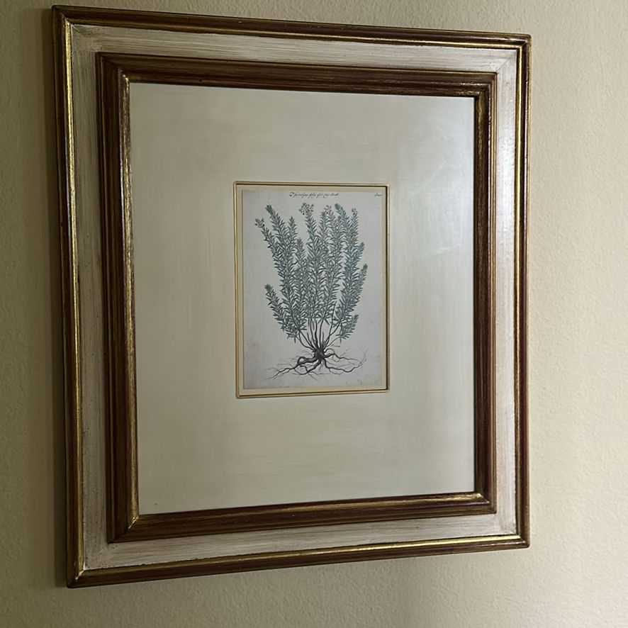 Framed Botanical Prints and Floor Lamp - image 5 of 11