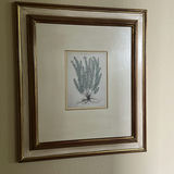 Framed Botanical Prints and Floor Lamp - thumbnail 5 of 11
