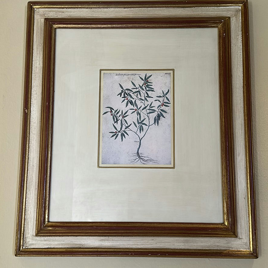 Framed Botanical Print - image 2 of 4