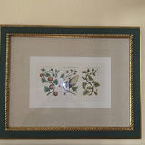 Pair of Framed Botanical Prints - thumbnail 2 of 5