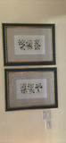 Pair of Framed Botanical Prints - thumbnail 1 of 5