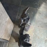 Pair of Angel Statues and Decorative Planter - thumbnail 3 of 12