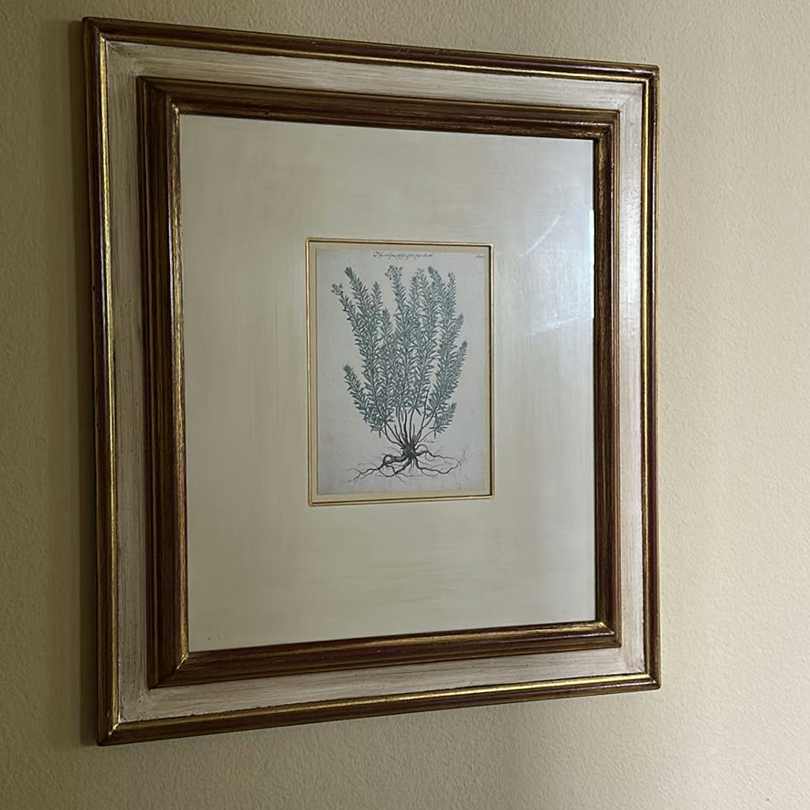 Framed Botanical Prints and Floor Lamp - image 4 of 11