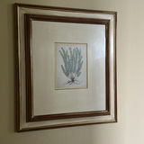 Framed Botanical Prints and Floor Lamp - thumbnail 4 of 11