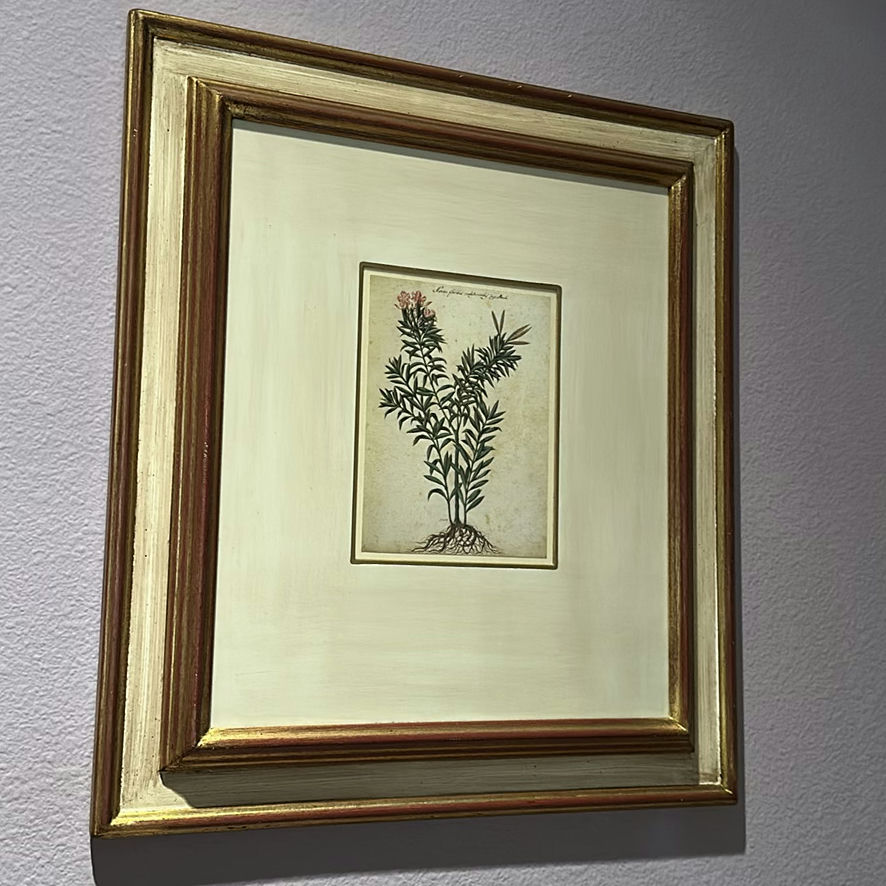Framed Botanical Prints and Floor Lamp - image 7 of 11