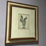 Framed Botanical Prints and Floor Lamp - thumbnail 7 of 11