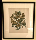 Set of Framed Butterfly Botanical Prints - thumbnail 3 of 5
