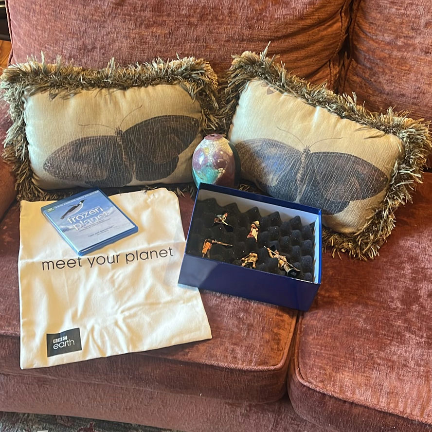 Decorative Pillows, Ceramic Vase, Miniature Figurines, Frozen Planet Blu-ray Set, and Tote Bag - image 1 of 6