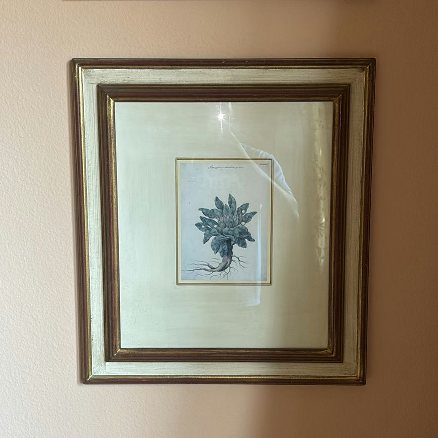 Round Wall Mirror and Two Framed Botanical Prints - image 4 of 7