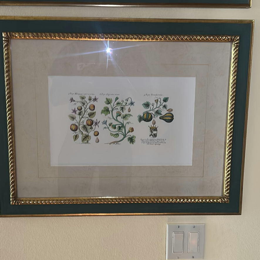 Pair of Framed Botanical Prints - image 4 of 5