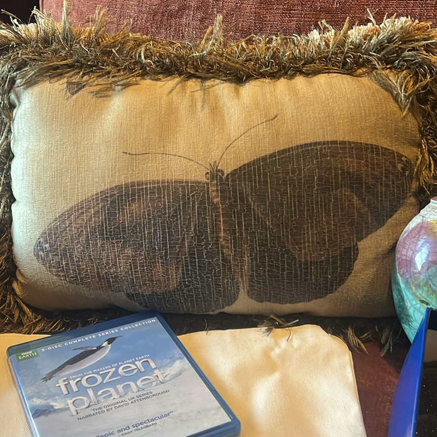 Decorative Pillows, Ceramic Vase, Miniature Figurines, Frozen Planet Blu-ray Set, and Tote Bag - image 4 of 6