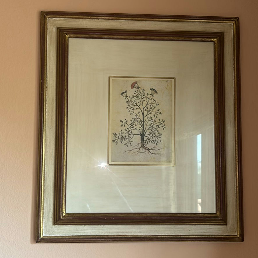 Round Wall Mirror and Two Framed Botanical Prints - image 6 of 7