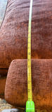 Three-Seat Upholstered Sofa - thumbnail 8 of 11