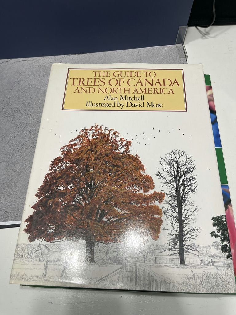 Books On Trees - image 4 of 6