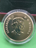 2009 50 Cent Coin-Holiday Train - thumbnail 9 of 9