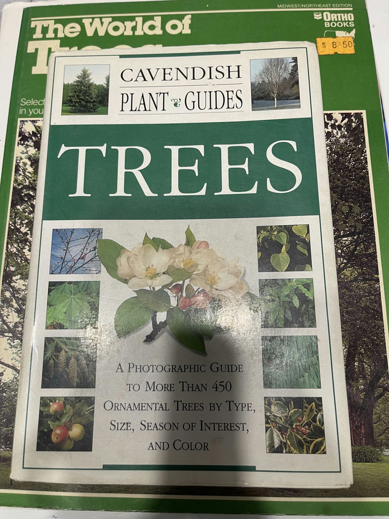 Books On Trees - image 6 of 6