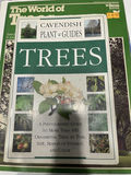 Books On Trees - thumbnail 6 of 6
