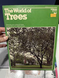 Books On Trees - thumbnail 5 of 6