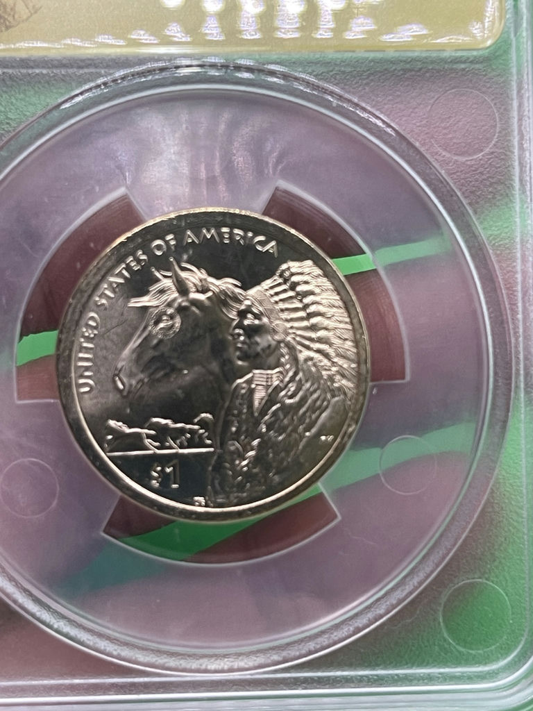 Native American Dollar - image 7 of 8