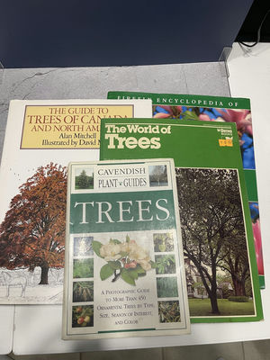 Books On Trees - Image 1 of 6