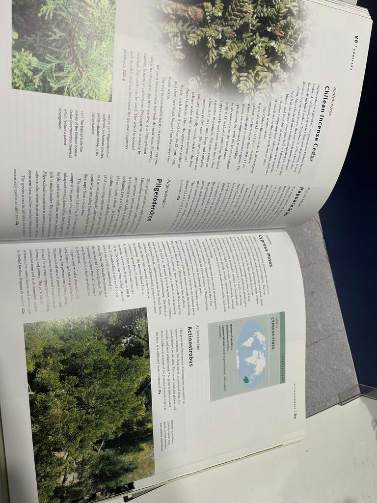 Books On Trees - image 3 of 6