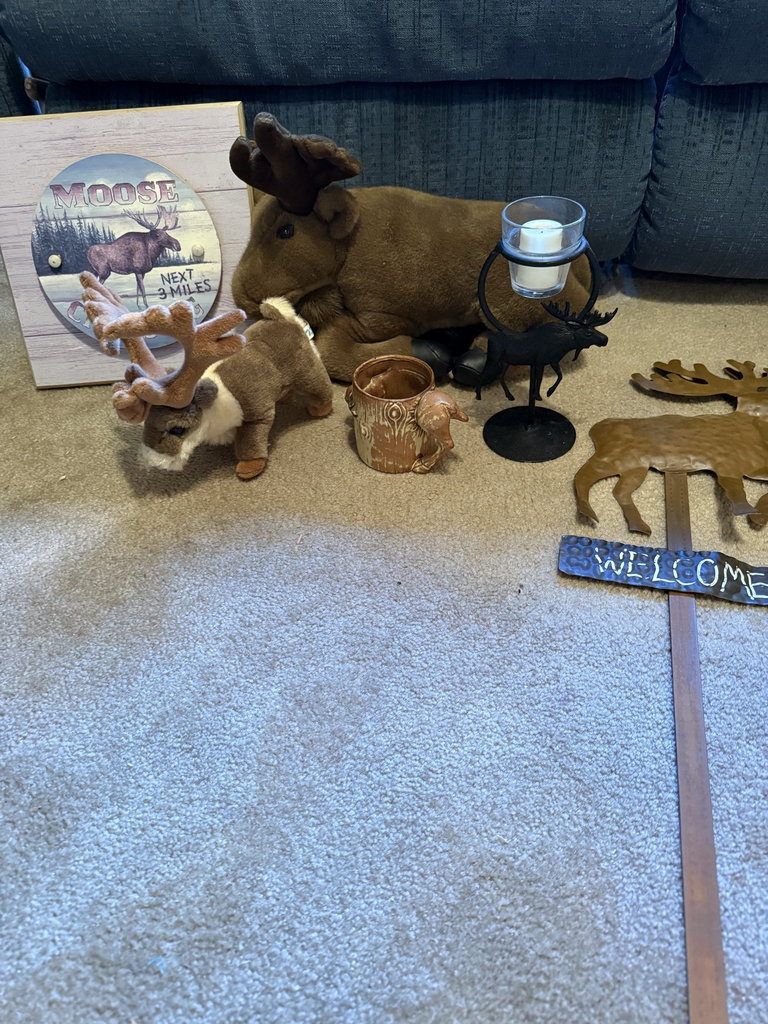 Moose-themed home decor collection - image 1 of 8