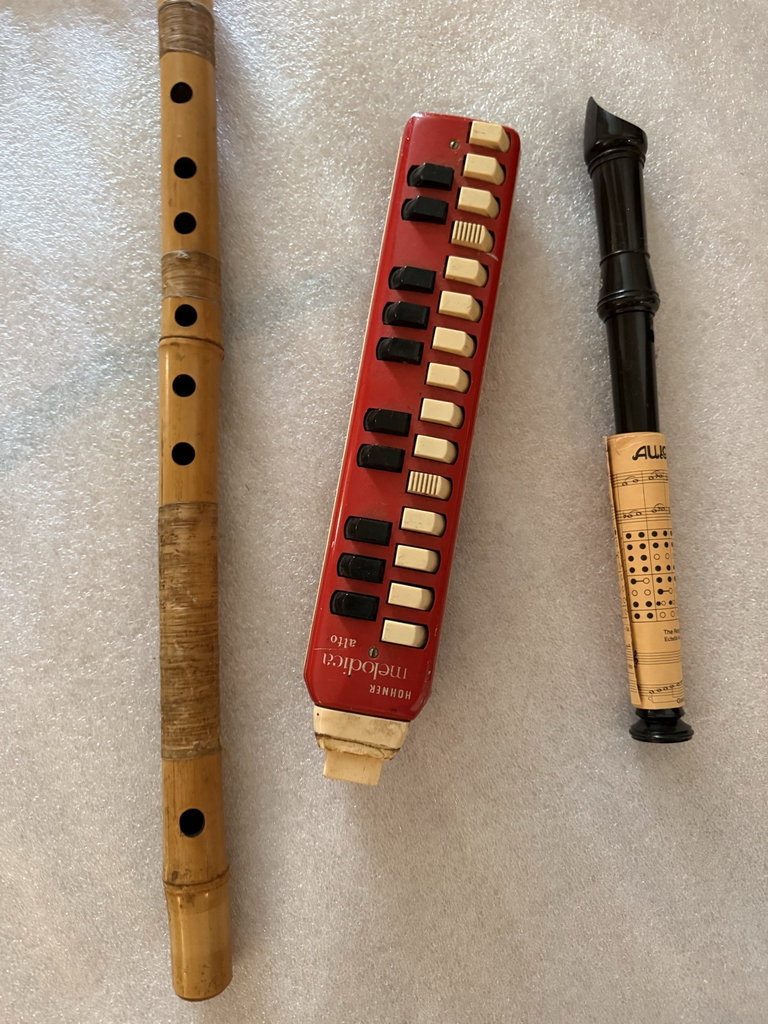 Red Hohner melodica, wooden recorder, and black wind instrument - image 4 of 5