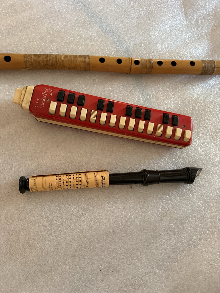 Red Hohner melodica, wooden recorder, and black wind instrument - image 1 of 5