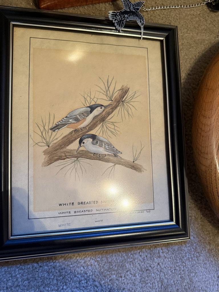 Bird-themed wall art and clocks - image 3 of 8