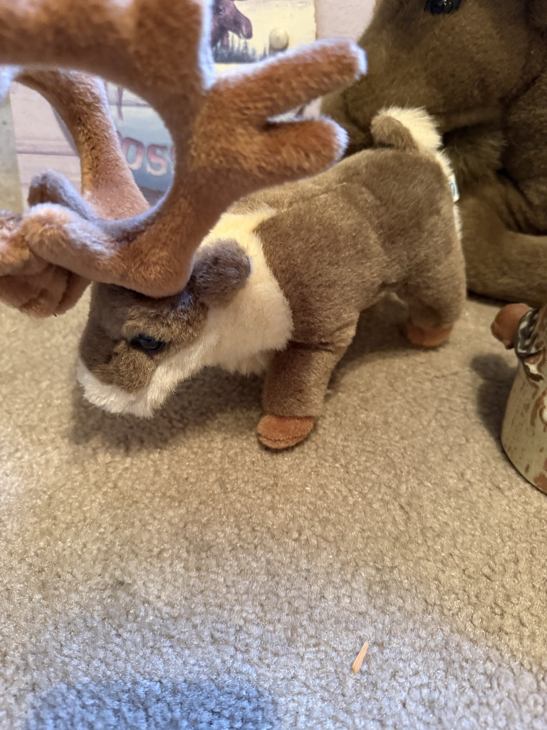 Moose-themed home decor collection - image 4 of 8
