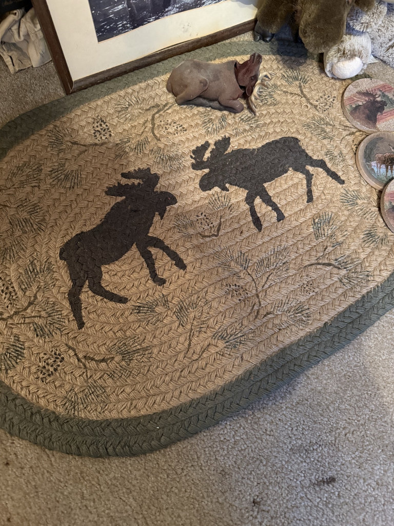 Moose-themed home decor collection - image 2 of 6