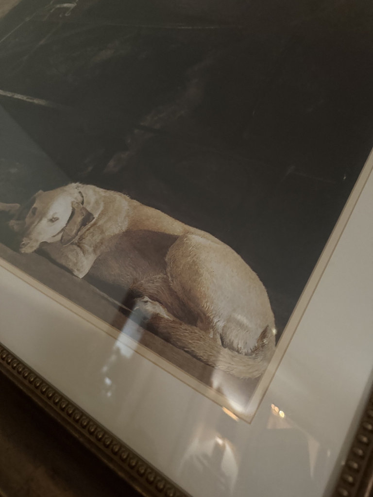 Framed dog print and decorative wooden sign - image 4 of 6