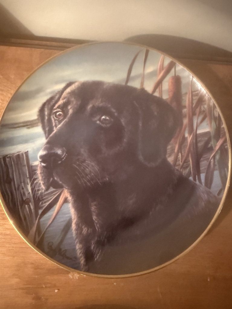 Set of four round decorative plates featuring black Labrador retrievers - image 4 of 9