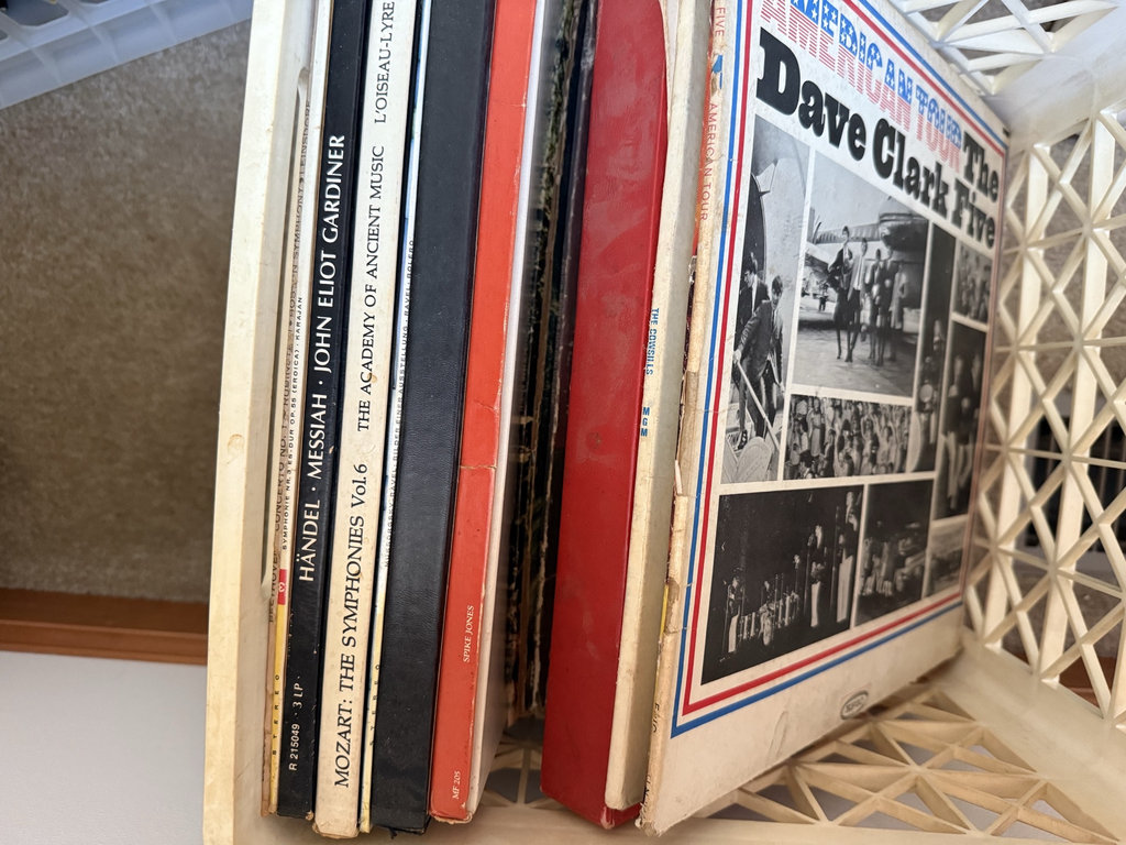 Vinyl record collection - image 3 of 15
