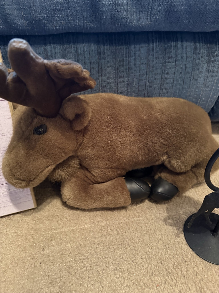 Moose-themed home decor collection - image 6 of 8