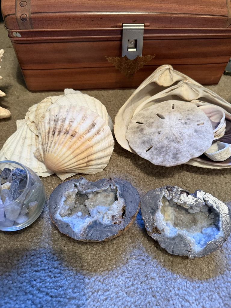 Coastal seashells, geodes, lighthouse models, and decorative chest - image 2 of 8