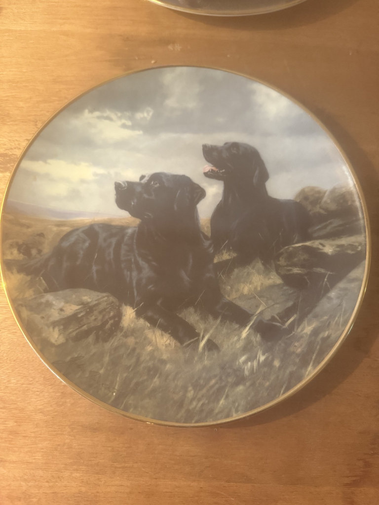 Set of four round decorative plates featuring black Labrador retrievers - image 1 of 9