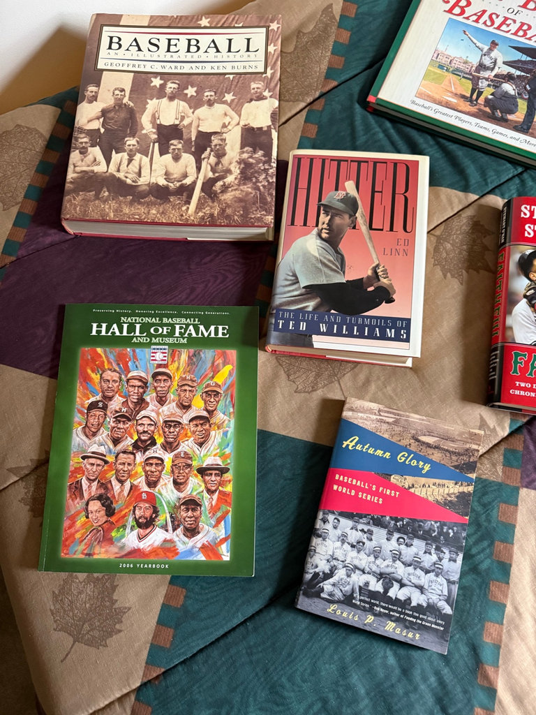 Baseball books collection - image 2 of 4