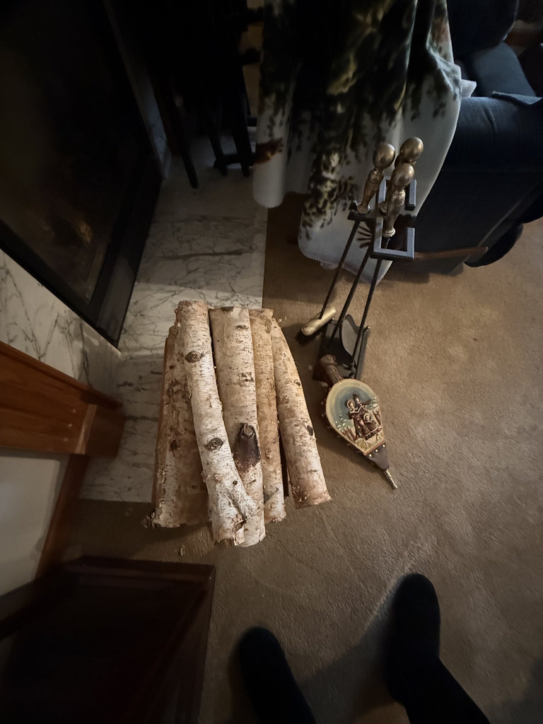 Birch log bundle with fireplace tools and vintage decorations - image 12 of 13