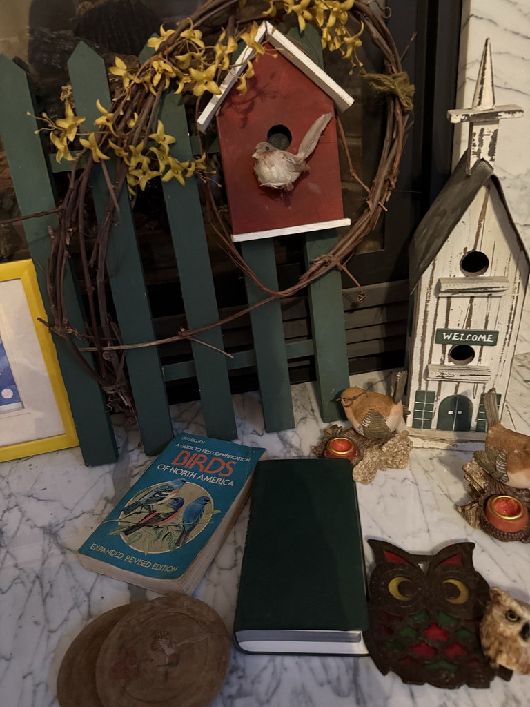 Bird-themed decorative items and books - image 2 of 4