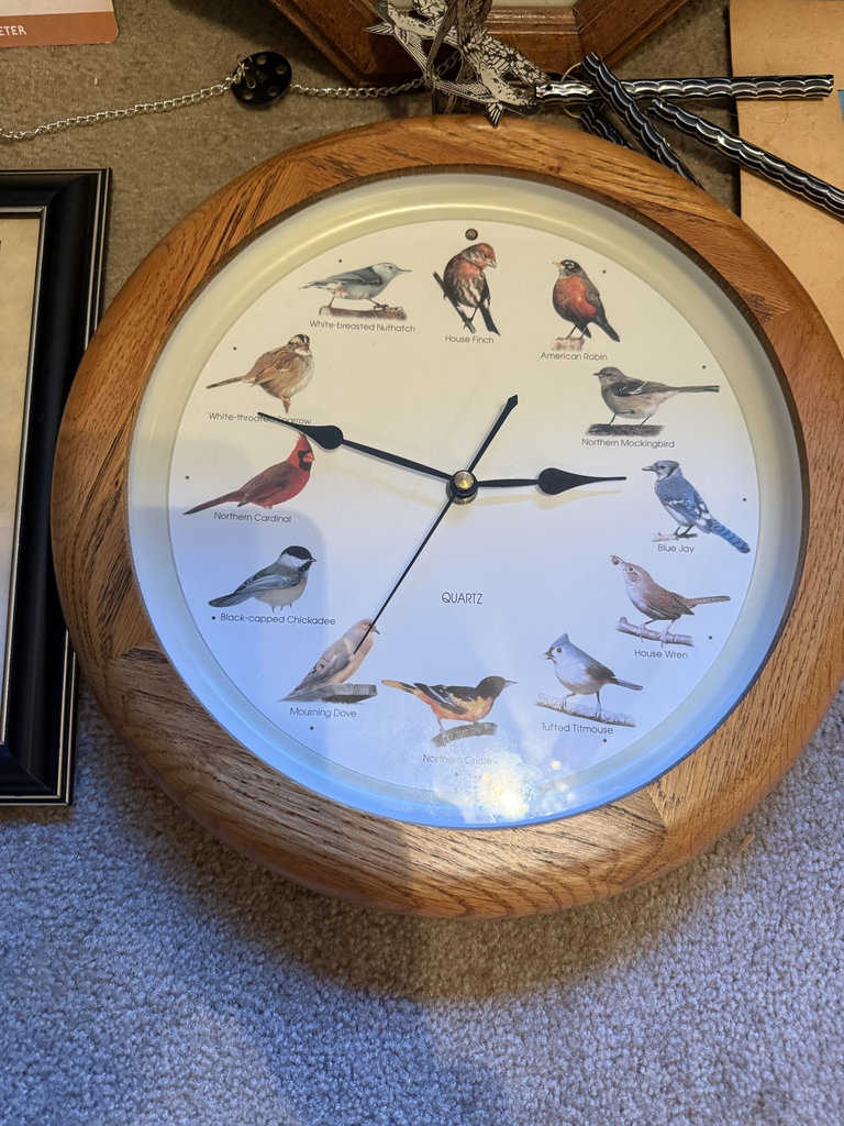 Bird-themed wall art and clocks - image 2 of 8
