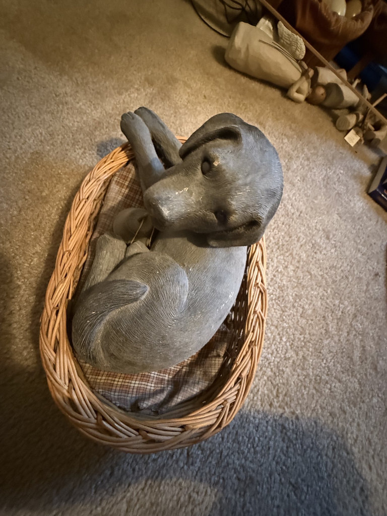 Dog-themed decor and books collection - image 14 of 27