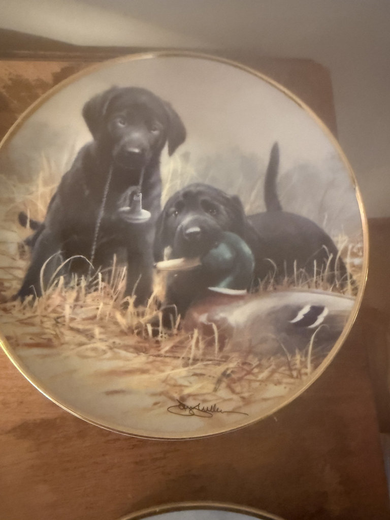 Set of four round decorative plates featuring black Labrador retrievers - image 3 of 9